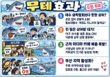 부산 상어 효과정리.jpg
