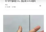 탬버린 신나게 친 사람.jpg