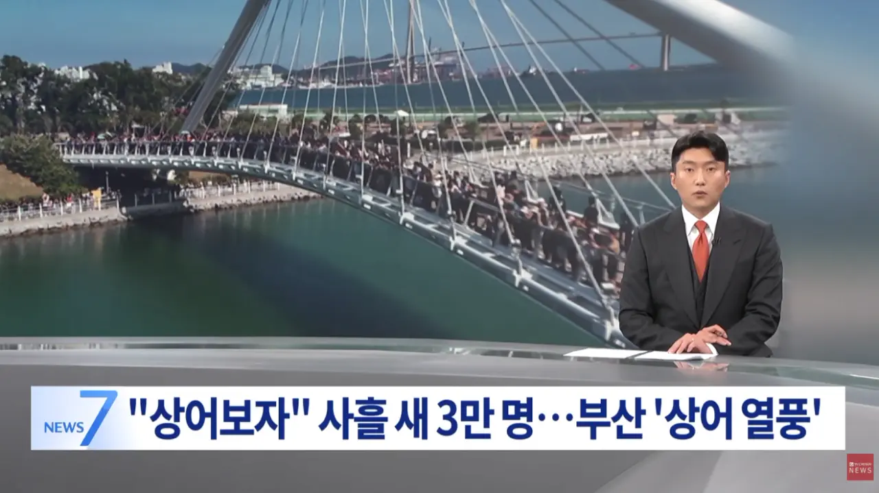상어 (1).png