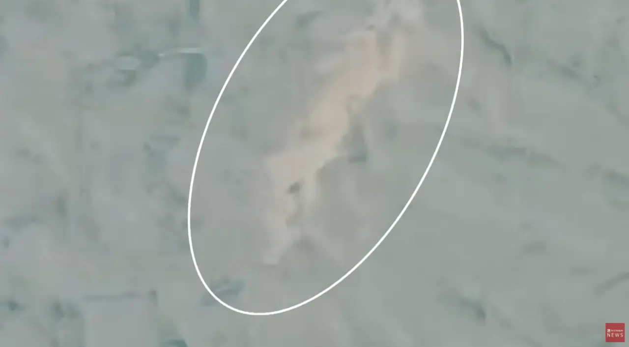 상어 (8).png