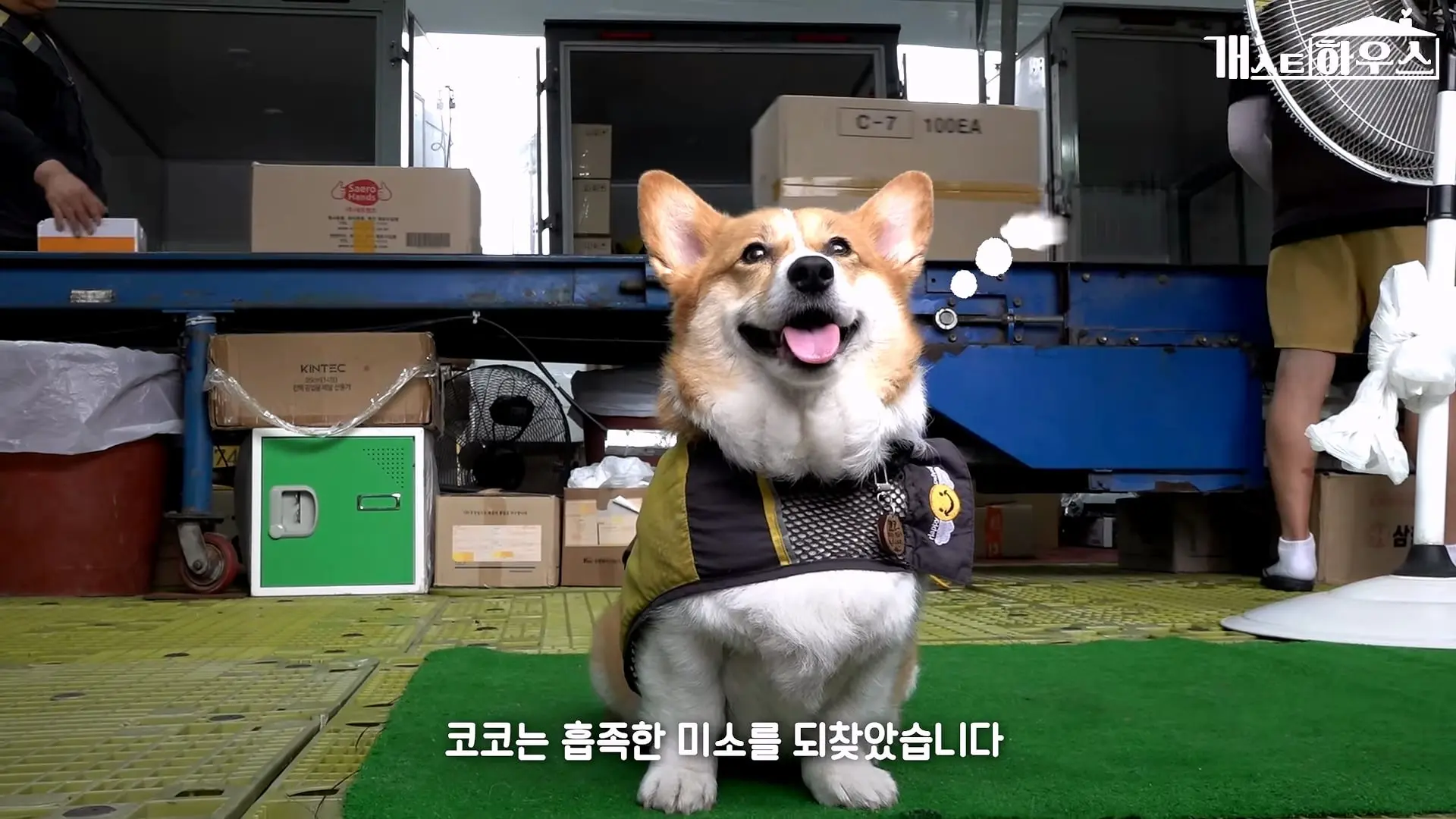 “하루 3만 보, 비바람 몰아쳐도 8년 동안 행복을 전했어요” 택배견 코코_20260920_234809.316.jpg
