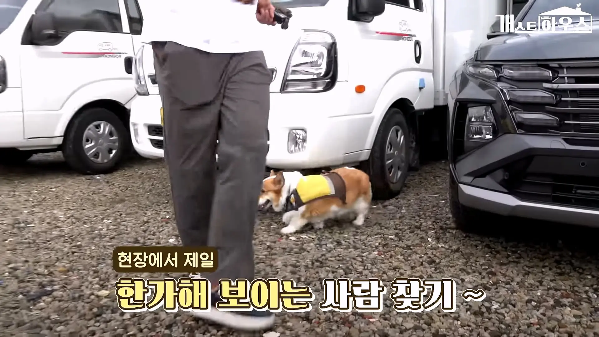 “하루 3만 보, 비바람 몰아쳐도 8년 동안 행복을 전했어요” 택배견 코코_20260920_234805.204.jpg