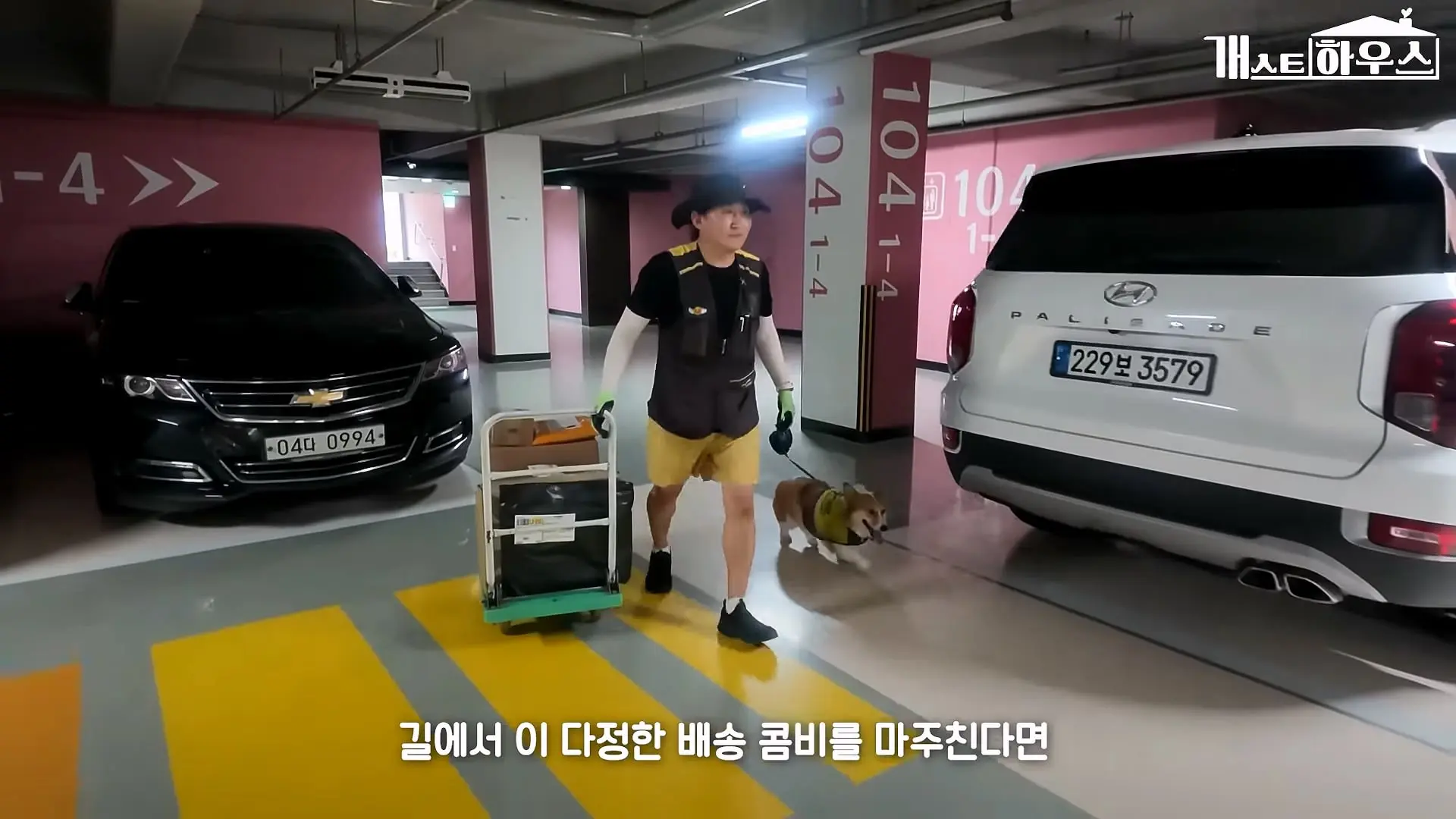 “하루 3만 보, 비바람 몰아쳐도 8년 동안 행복을 전했어요” 택배견 코코_20260920_234935.980.jpg