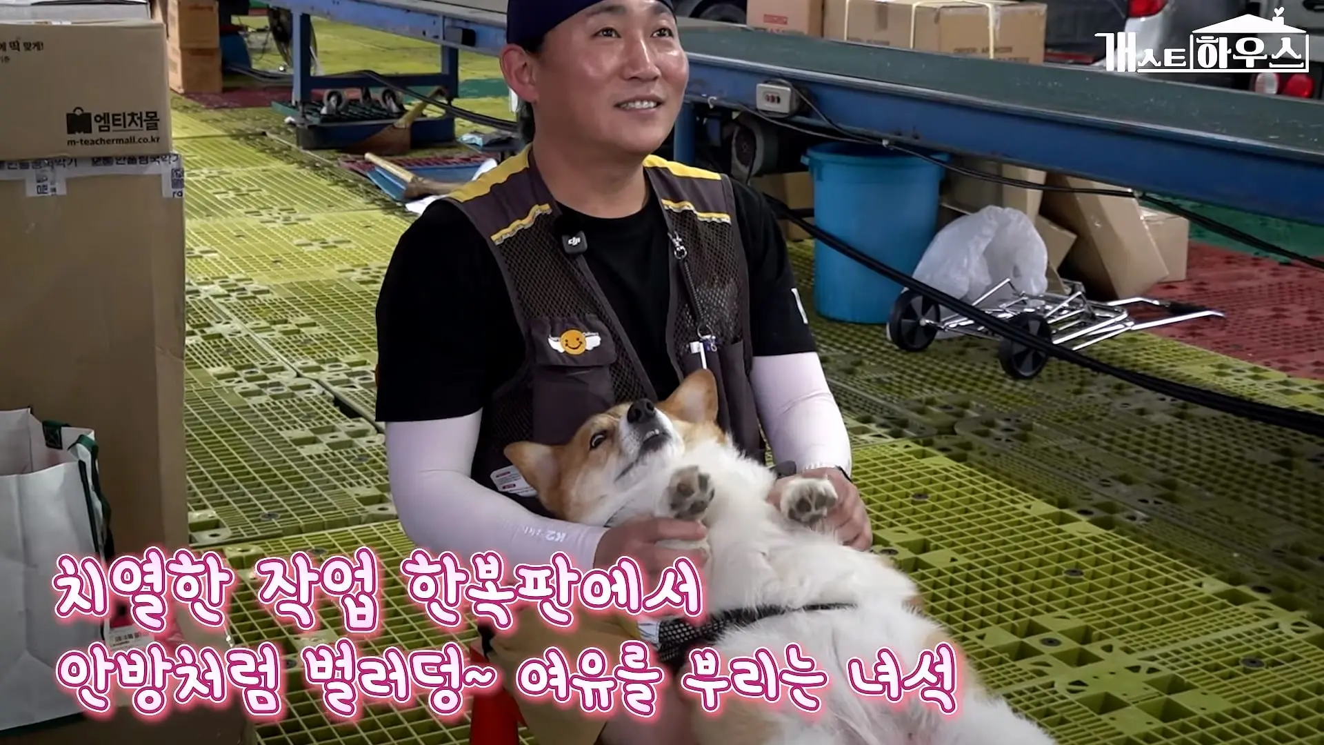 “하루 3만 보, 비바람 몰아쳐도 8년 동안 행복을 전했어요” 택배견 코코_20260920_234700.051.jpg