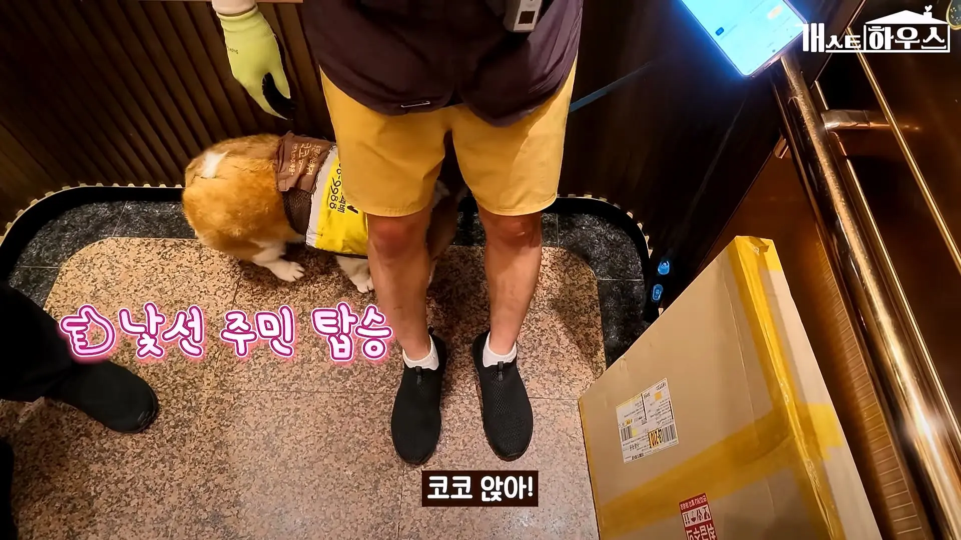 “하루 3만 보, 비바람 몰아쳐도 8년 동안 행복을 전했어요” 택배견 코코_20260920_234856.116.jpg