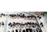 지금은 상상도 못할 그시절 학교 체벌