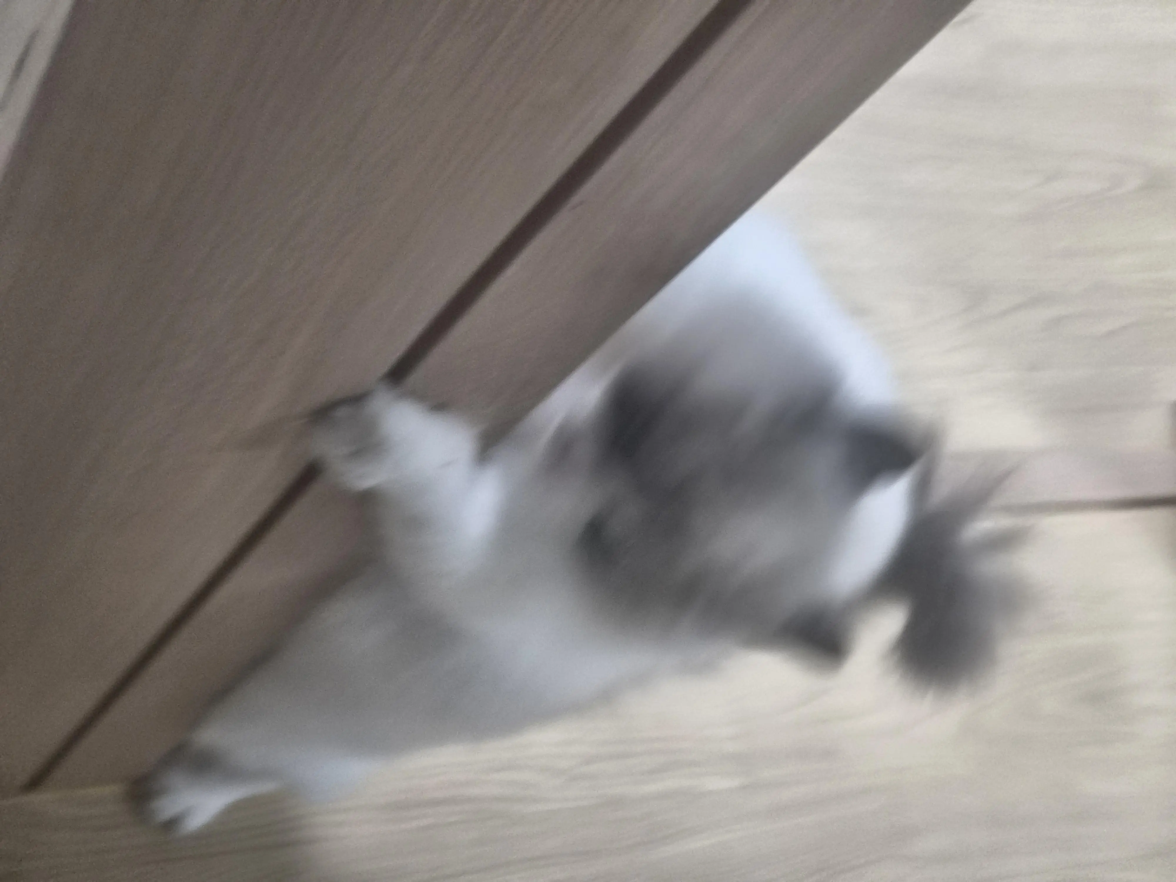 20260922_203916.jpg