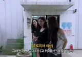 거북이랑 대화 가능한 이유가 거북목이라는 아이돌