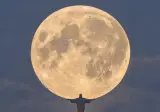다시 찍기 어려운 레전드 사진 모음