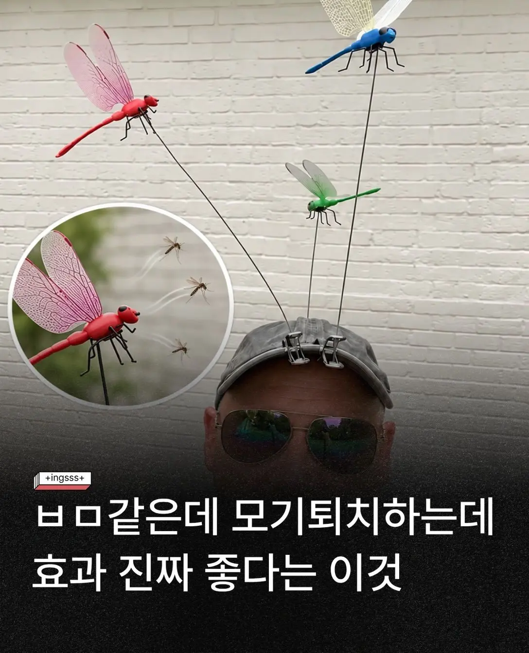 1c1dcdbf-79b5-43d0-a7f8-7766516c6068_SaveVid.Net_81978504.jpg