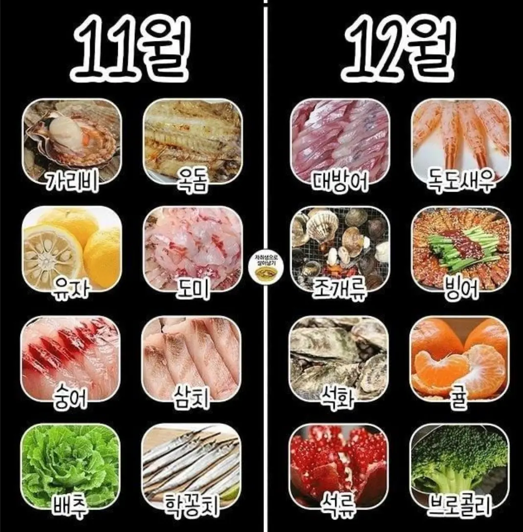 스크린샷 2026-09-22 083627.png