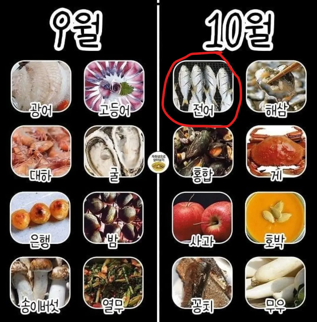 스크린샷 2026-09-22 083607.png