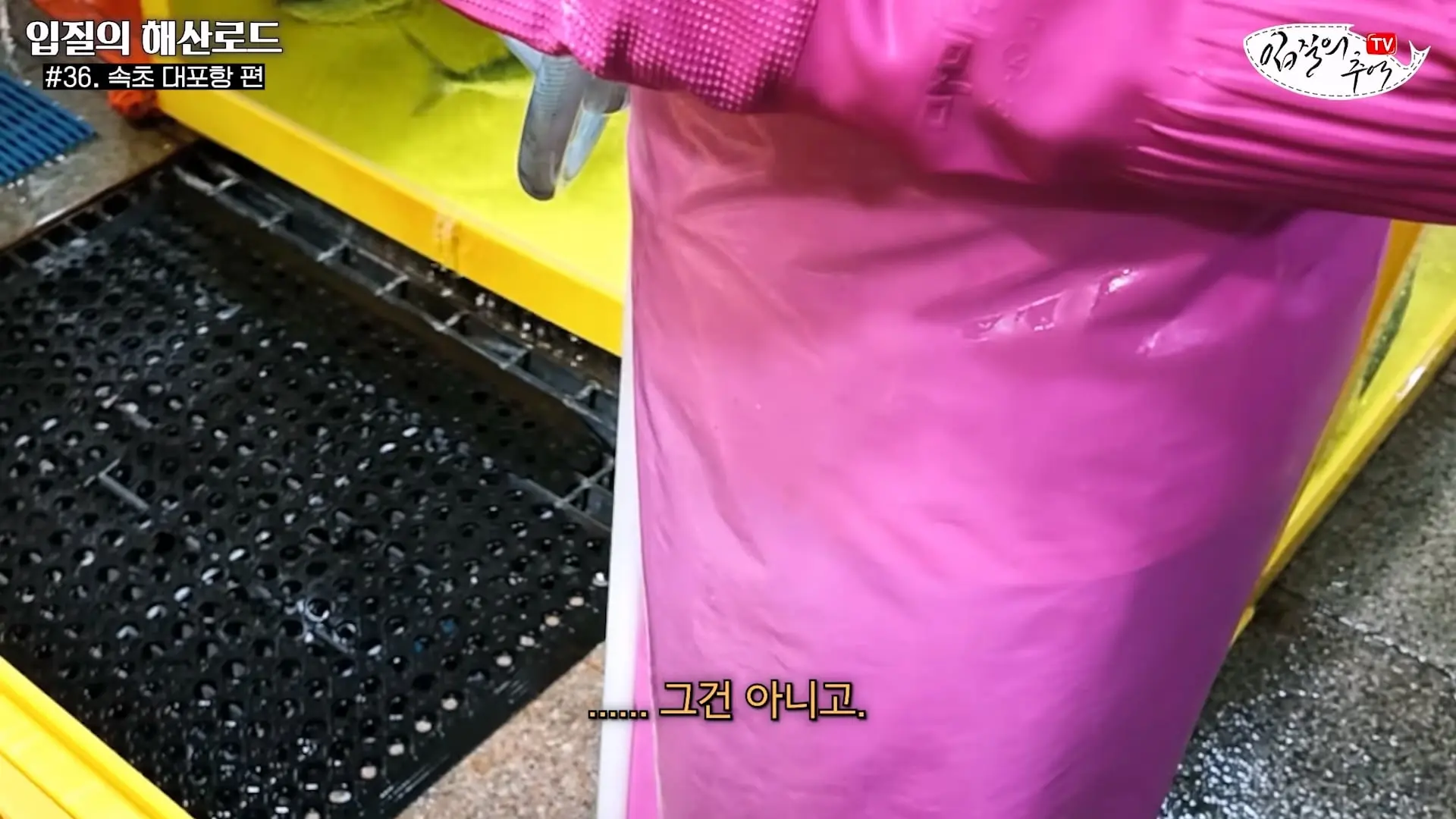 관광지 수산시장에서 _대게 먹고 가라_해서 믿고 맡겼더니(입질의 해산로드 #.36 속초 대포항 편)_20260922_210309.366.jpg