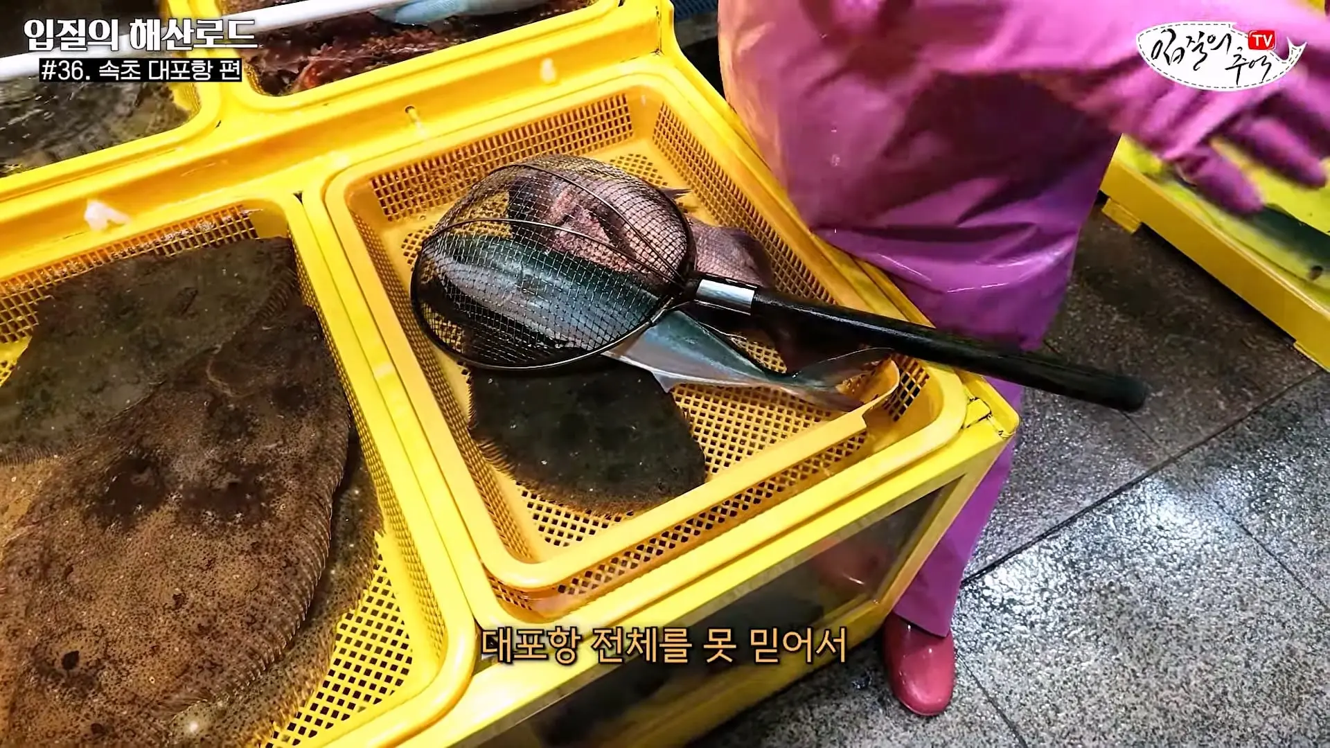 관광지 수산시장에서 _대게 먹고 가라_해서 믿고 맡겼더니(입질의 해산로드 #.36 속초 대포항 편)_20260922_210355.603.jpg