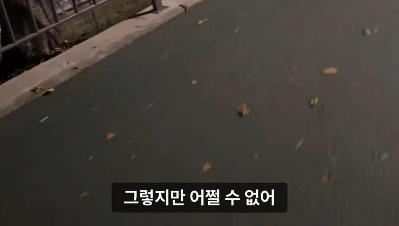 군대 안 가본 여자의 20kg 20km 행군 도전