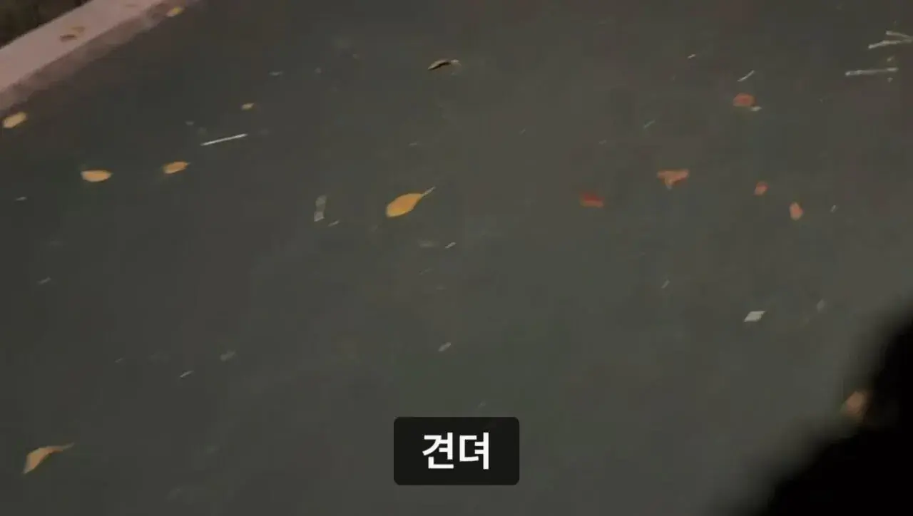 군대 안 가본 여자의 20kg 20km 행군 도전