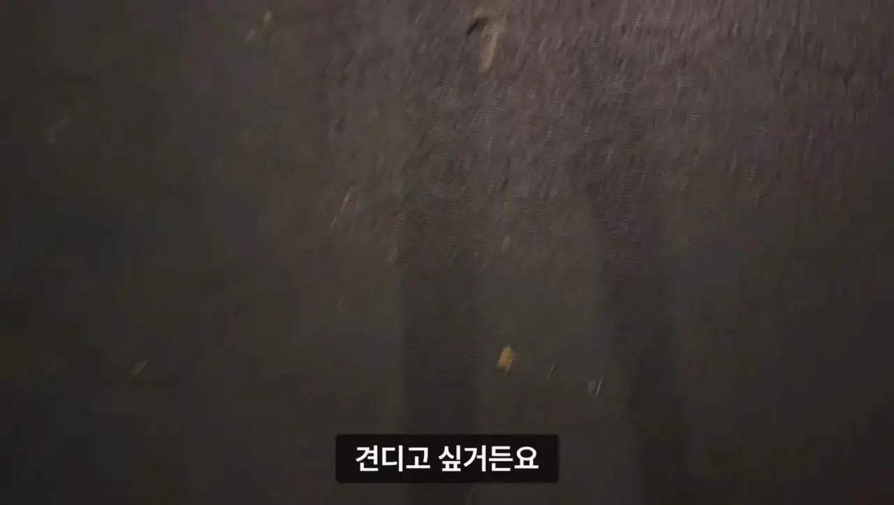 군대 안 가본 여자의 20kg 20km 행군 도전