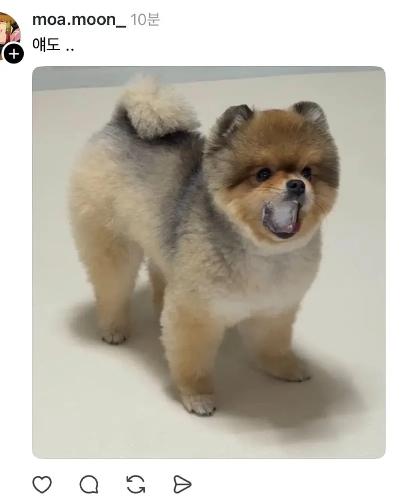 20260923192213_Kmv4dEvR70.png
