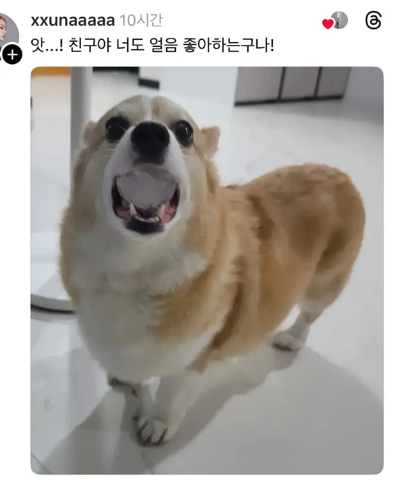 20260923192212_BARZNzAjWb.png