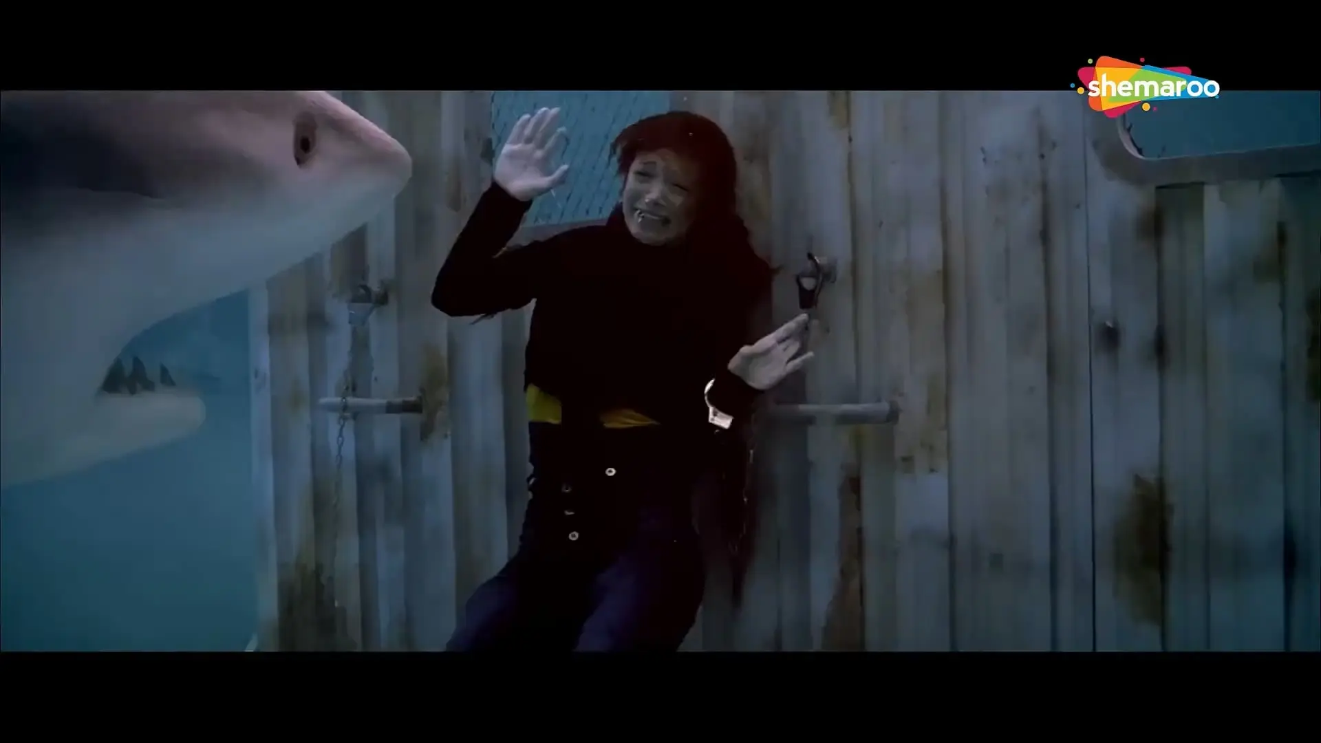 Luck [2009] Sanjay Dutt _ Imran Khan _ Shruti Haasan _ Mithun Chakraborty _ Hindi Action Movie.mp4_20240915_021122.404.jpg