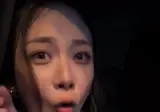 안전벨트한 비비