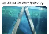 일본 수족관에 의외로 왜 있지 하는거.jpg