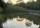 극 사실주의 연못.jpg
