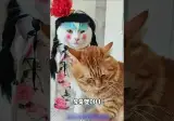 🥳 처음 신부를 본 신랑 고양이의 반응은?