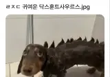 귀여운 닥스훈트사우르스.jpg