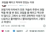 과일을 때리고 먹어야 맛있는 이유.jpg