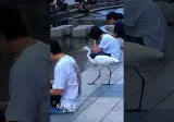 청계천 사람 사이로 아무 겁 없이 돌아다니는 새 (펌)