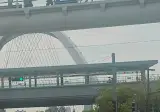 부산 상어공원 오지마라