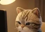 애 운다고 호다닥 달려오는 이모들