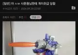 사촌 형한테 게이 취급 당함.jpg