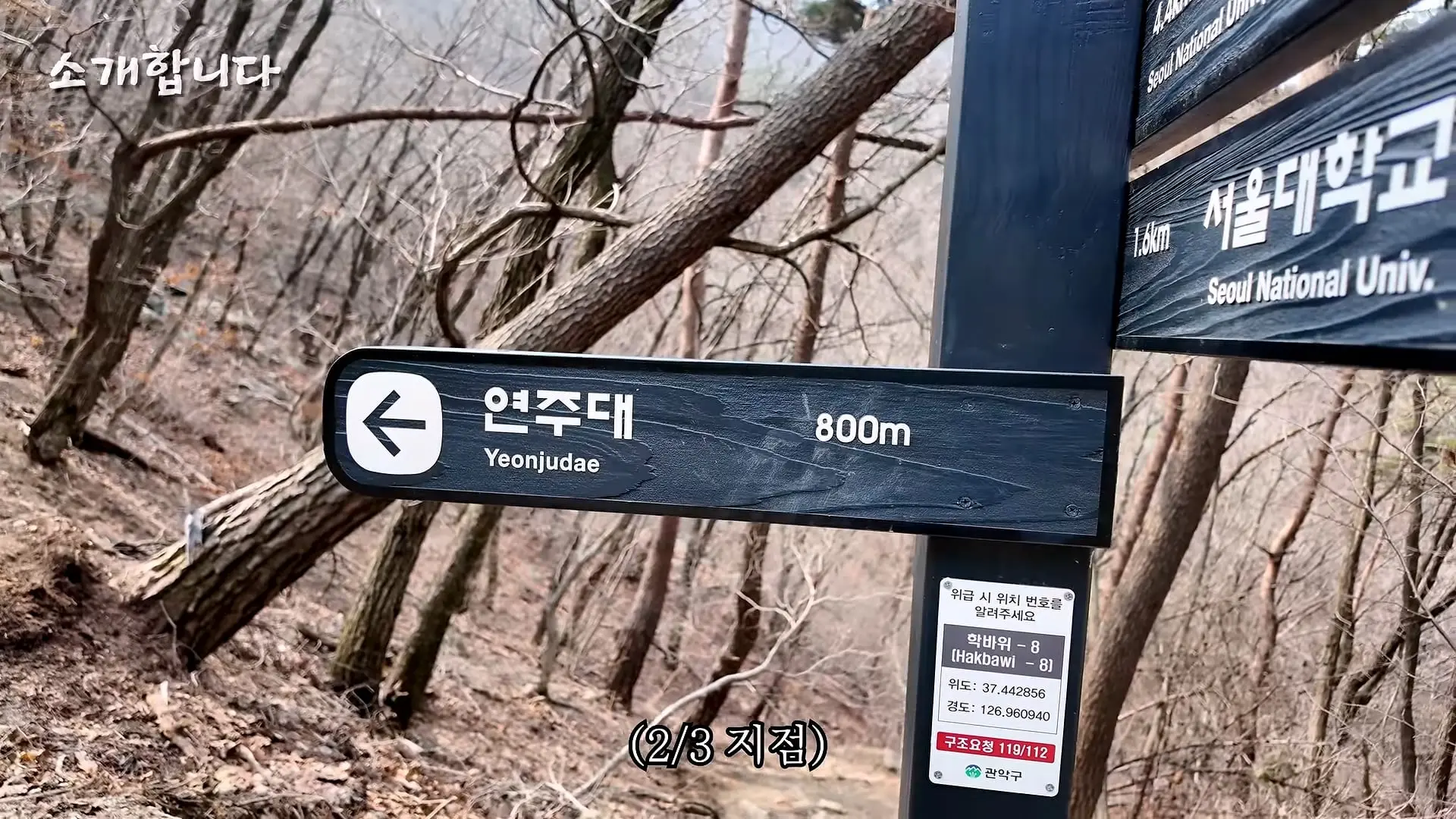 120kg 지게 지고 7시간 등반하는 60대 관악산 지게꾼의 하루 [털보아저씨]_20260925_135950.324.jpg