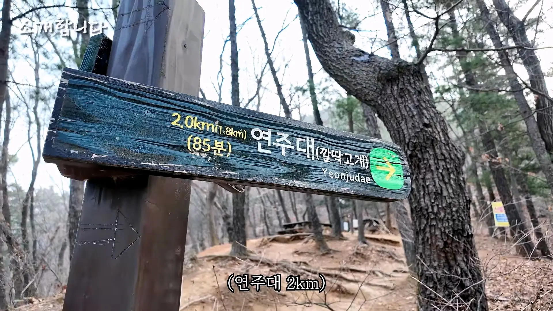 120kg 지게 지고 7시간 등반하는 60대 관악산 지게꾼의 하루 [털보아저씨]_20260925_135143.246.jpg