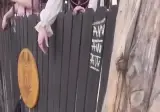 현실버전) 엘프를 노예로 샀다고? 자네 제정신인가!?