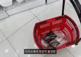 다이소물건으로 만든 드레스로 패션위크 스타되기