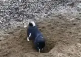 짱구 최종보스 환생짤