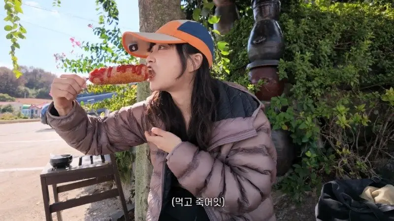 강아지랑 바위 탔습니다 태안 백화산 볼더링_1080p.mp4_20260926_235914.322.jpg