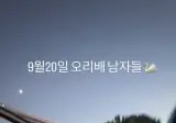청춘과 낭만이 가득한 한강 오리배