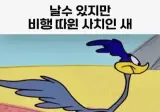 로드러너의 모델이 된 새 (날수 있지만 농락은 참을수 없지)