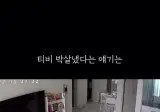 티비 부수는 애기는 남의 집 이야긴줄 알았다.gif