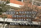 박사 학위가 악의 근원인 이유.jpg