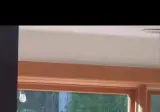 단또가 보던 tv가 망가짐