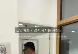 직원들에게 졸지말라는 고양이 카페 사장님