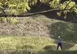성묘 갔는데 골프 치고 있었다는 기사.jpg