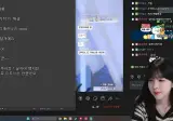 (ㅇㅂ) 베트남 배그 피해 스트리머 수피 근황