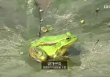 멸종위기동물의 사냥장면