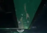 요즘 중국에서 유행한다는 근육질 남성 샤워 공연